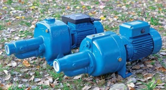 Mini elektryczna pompa wodna Vortex ze stali nierdzewnej wysokociśnieniowa pompa strumieniowa