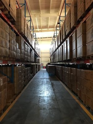 Przenośne narzędzia elektryczne Bezprzewodowa dmuchawa